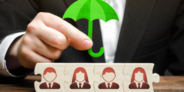 How Do Fully Insured Plans Work? A Simple Guide